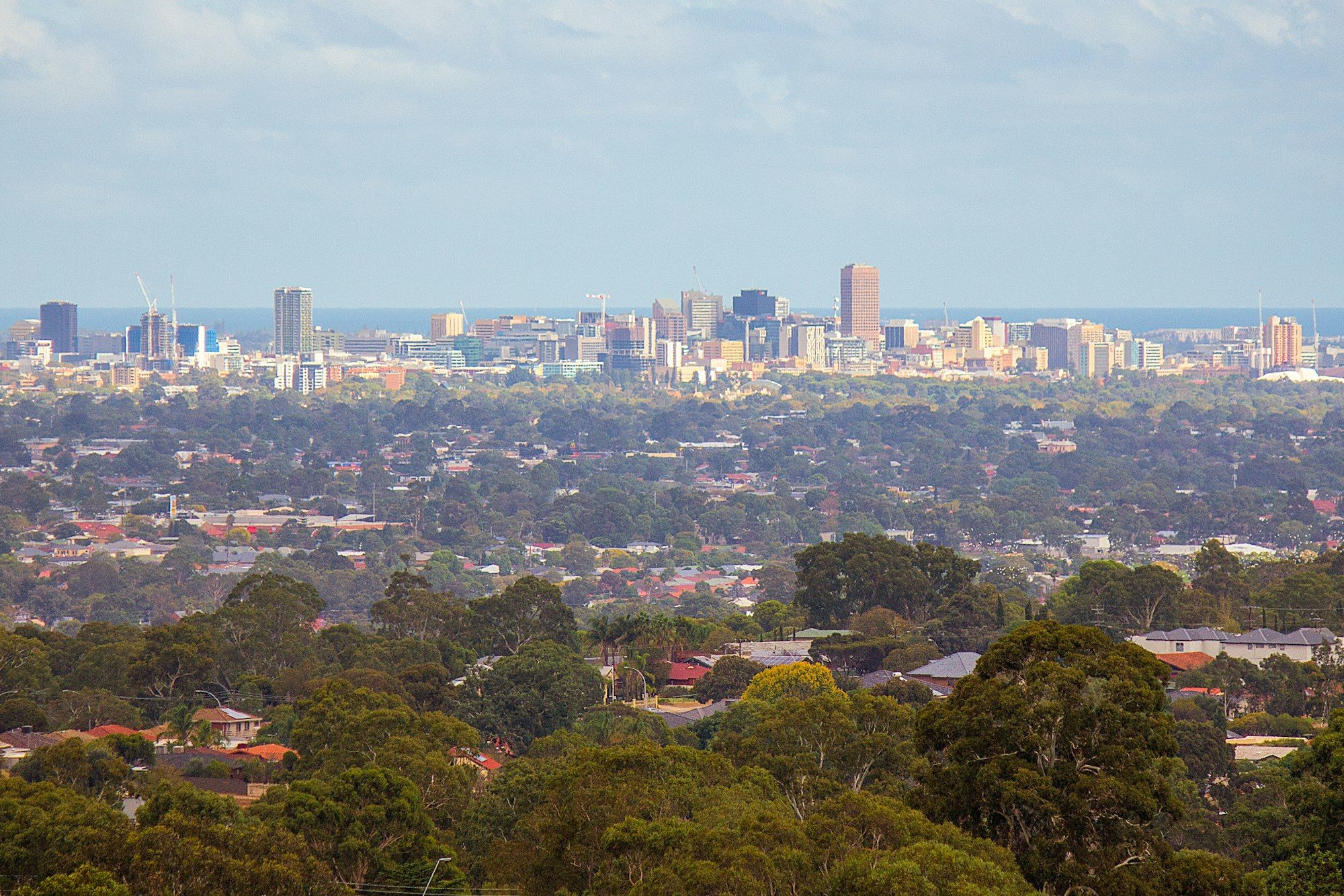 Adelaide city skyline seen from a hill, framed by green parklands and trees