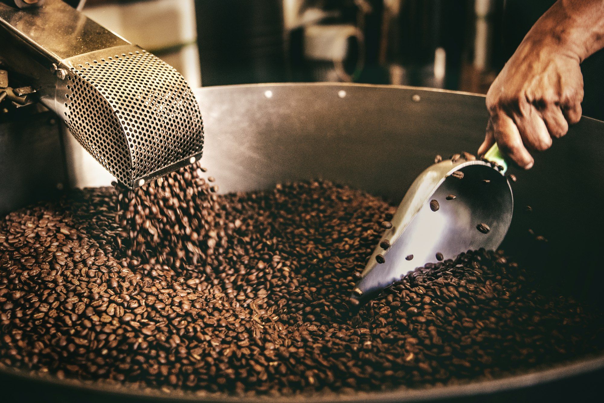 Person stirring freshly roasted coffee beans with a metal scoop at a roastery