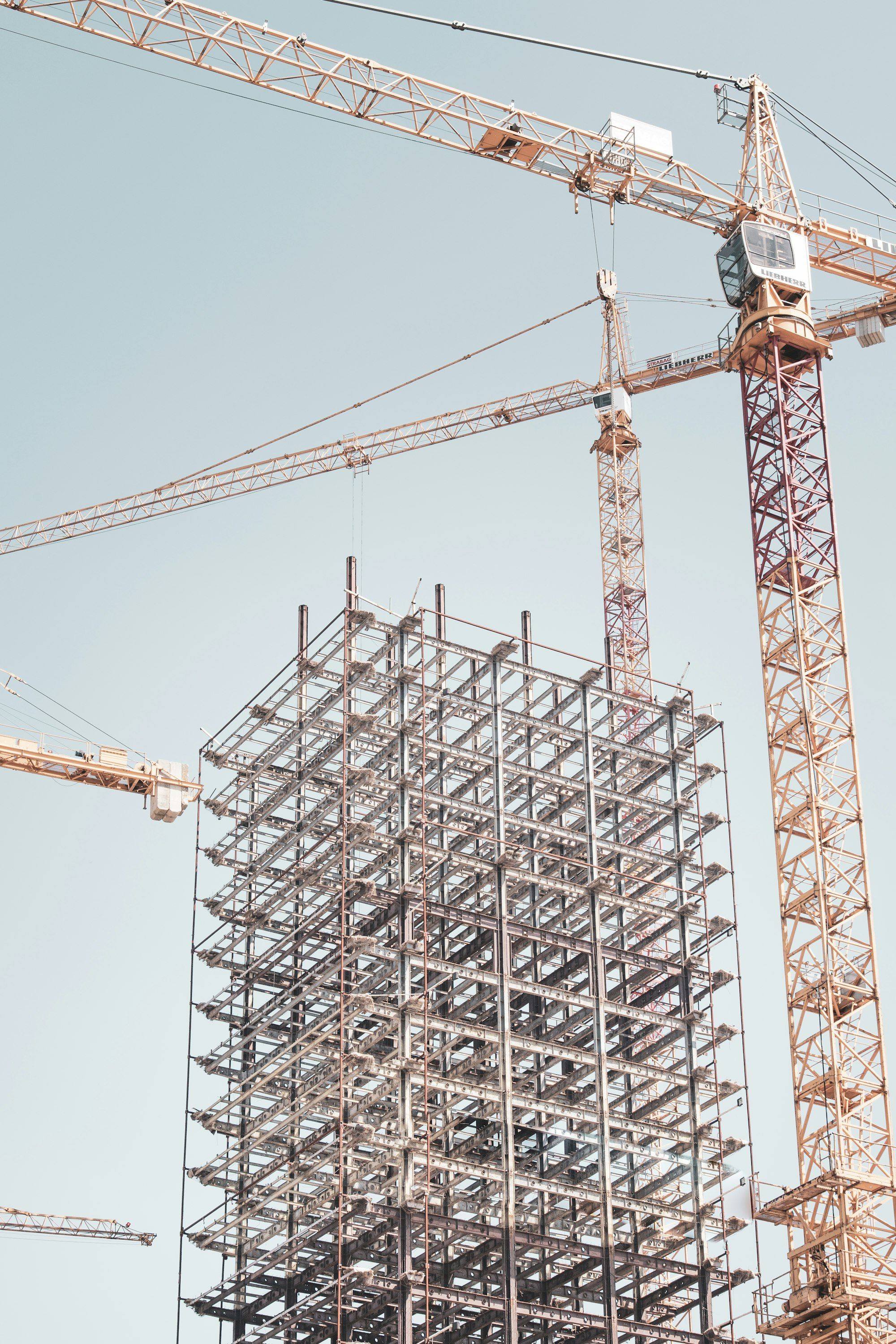 Tower crane beside a steel building frame on a construction site in daytime